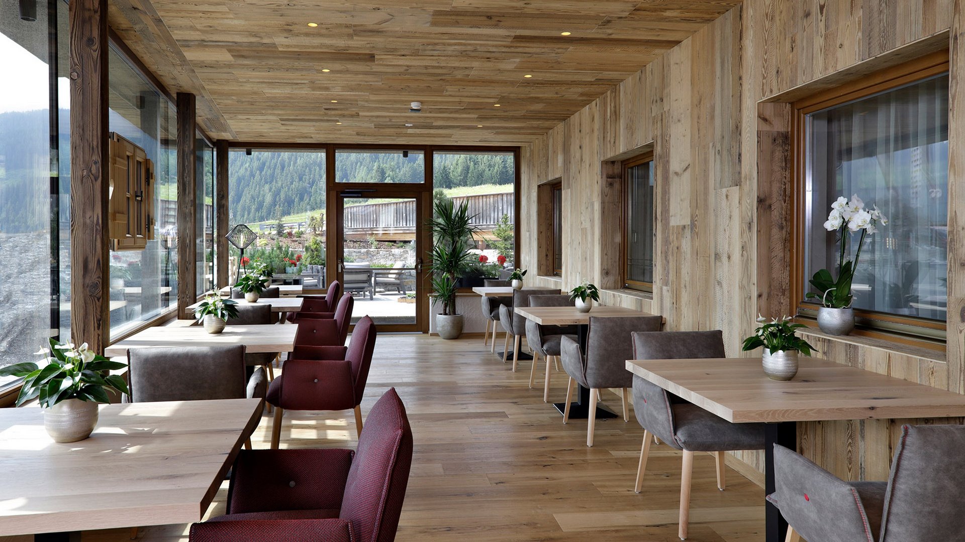 Gourmet haven Erlebnisort Gassenhof bright wood cafe with red and gray chairs with mountain view