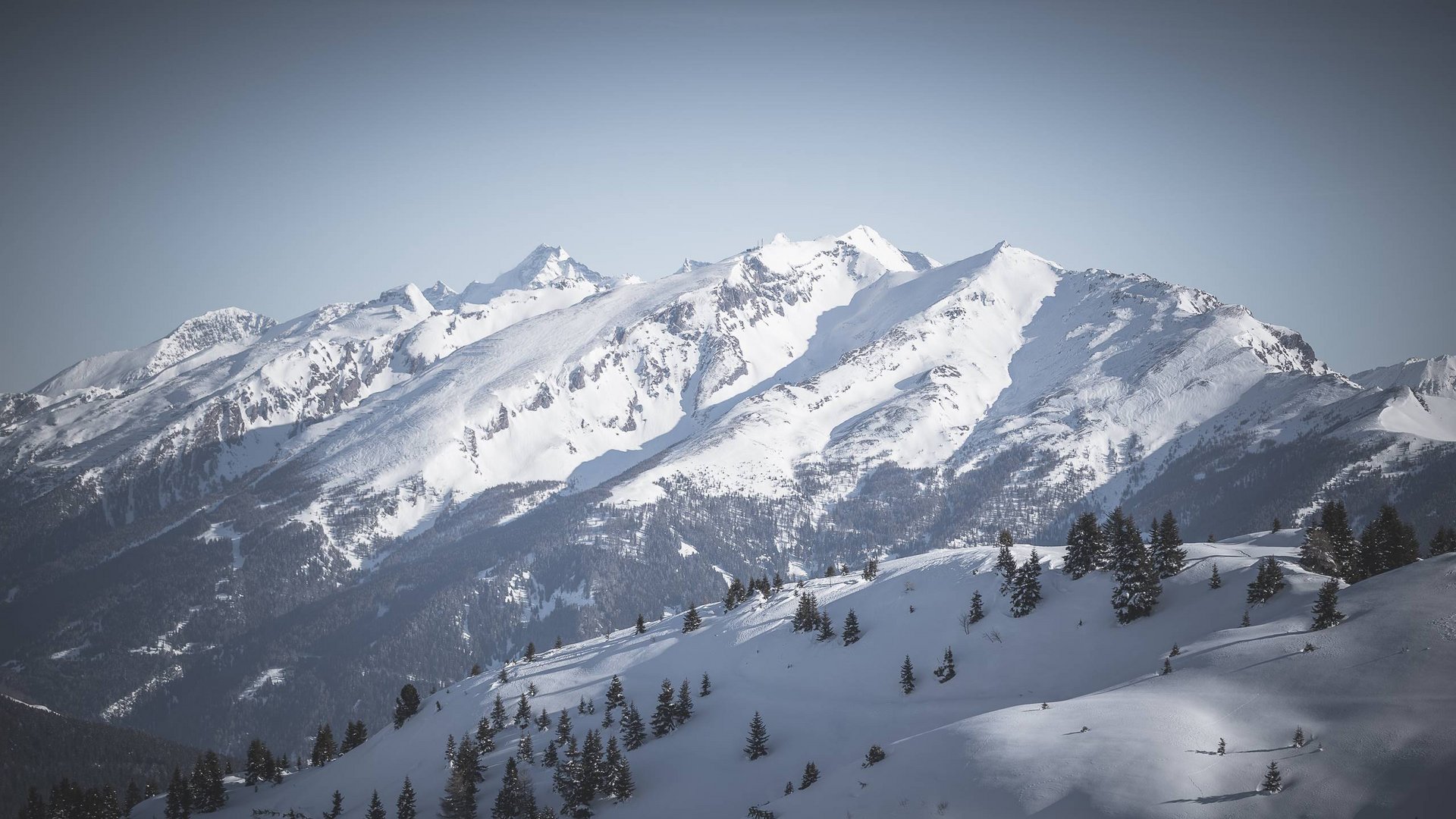 Your holiday in South Tyrol Snow-covered mountains with pine trees under clear blue sky